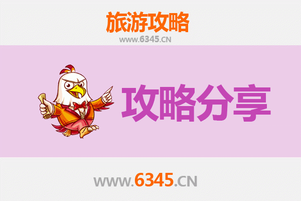乐山金口河至湄洲岛旅游攻略：跟团还是自由行深度解析