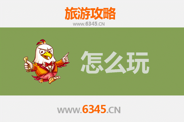 节假日乐山金口河深度游攻略：山水奇观与人文体验全指南
